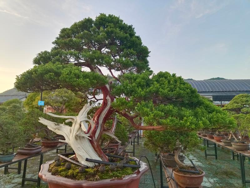 晓天镇：暮色绮丽展风姿