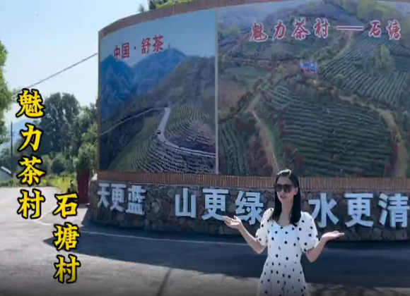 【舒城文旅】魅力茶村——舒茶镇石塘村