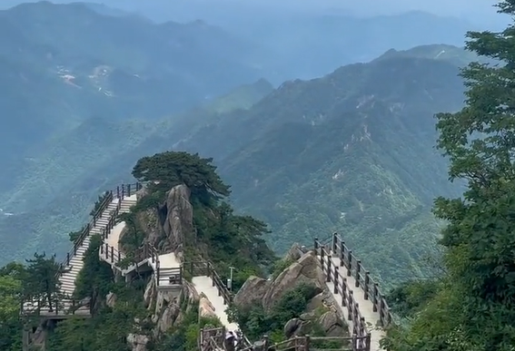 【舒城文旅】夏日避暑来舒城，森林之旅，让万佛山满足你的心愿！