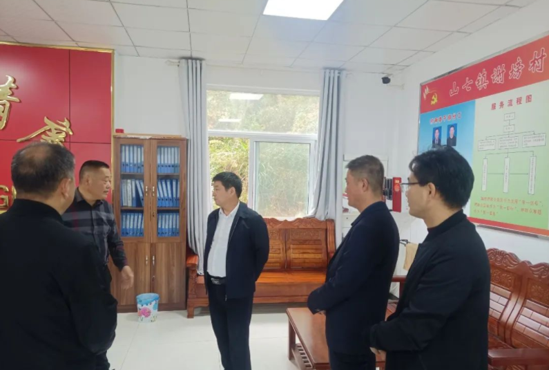 赵珞调研基层党建和人才建设工作