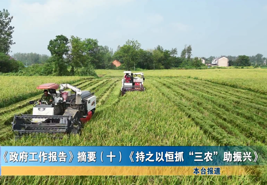 《政府工作报告》摘要（十）