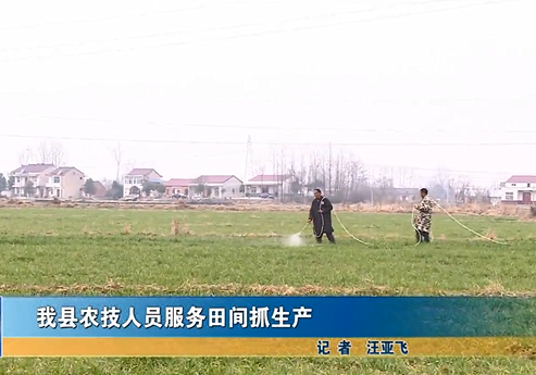 我县农技人员服务田间抓生产