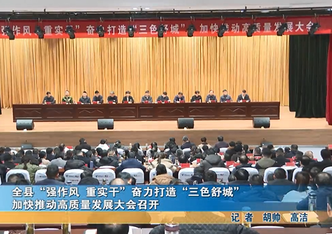 全县“强作风 重实干”奋力打造“三色舒城”加快推动高质量发展大会召开