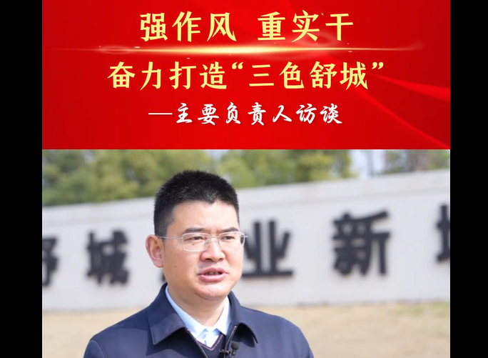 强作风 重实干 奋力打造“三色舒城”— 主要负责人访谈（夏梅政）