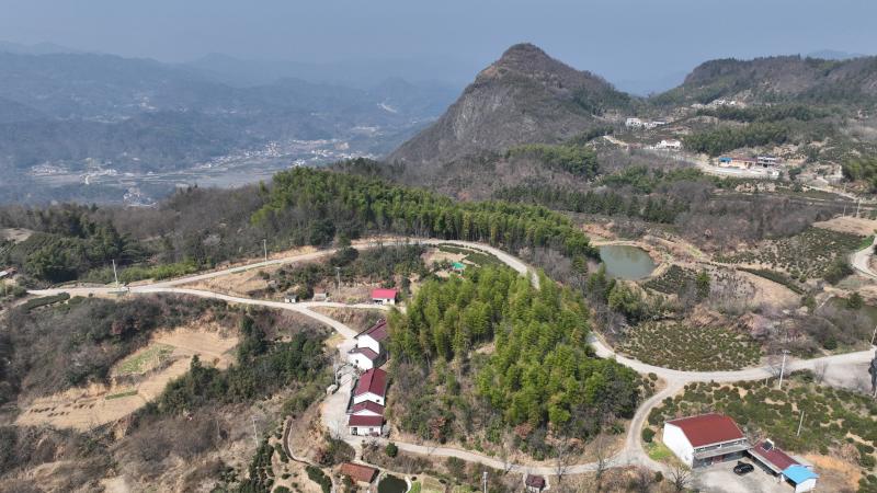 晓天镇：蒿香四溢小山村