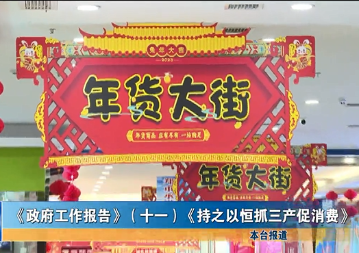 《政府工作报告》摘要（十一）