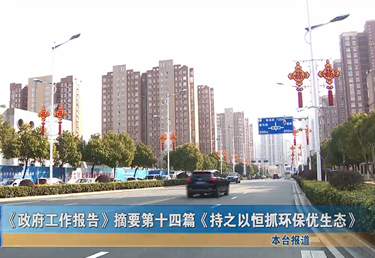《政府工作报告》摘要（十四）